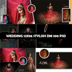 WEDDING 12X36 STYLISH DM 100 PSD