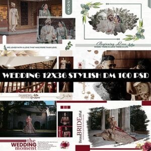 WEDDING 12X36 STYLISH DM 100 PSD