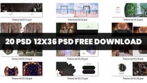 Read more about the article 20 PSD | PRE WEDDING ALBUM DESIGN PSD FREE DOWNLOAD 12X36
