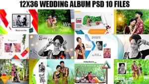Read more about the article Indian Wedding Album Design 12×36 Psd Free Download