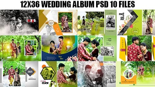 Read more about the article Canvera Album Design 12×36 PSD Free Download | High-Quality Wedding Templates