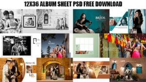 Read more about the article 12X36 Album Sheet Psd Free Download