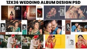 Read more about the article 14X36 WEDDING ALBUM PSD FREE DOWNLOAD