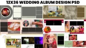 Read more about the article 12×36 Album Psd Free Download 2025