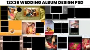 Read more about the article Canvera Album Design 12×36 Psd Free Download