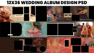 Read more about the article 12×36 Canvera Album PSD Free Download – Elegant Wedding Album Templates