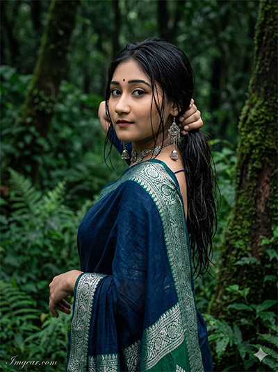 Gemini AI Photo Prompt Copy Paste Saree Look